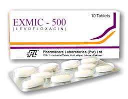 EXMIC Tab 500mg 10's