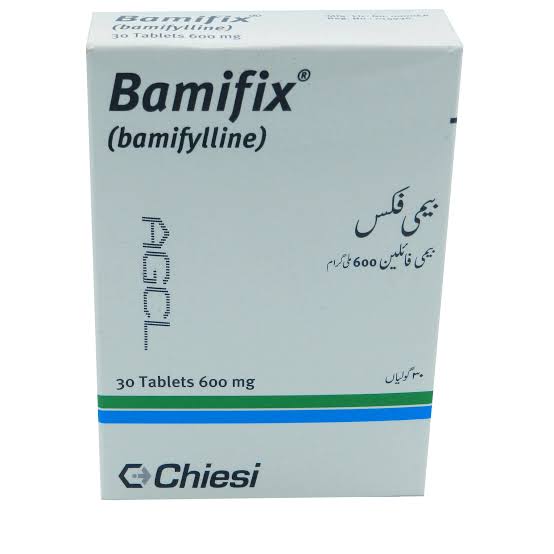 Bamifix Tab 600mg 3x10's