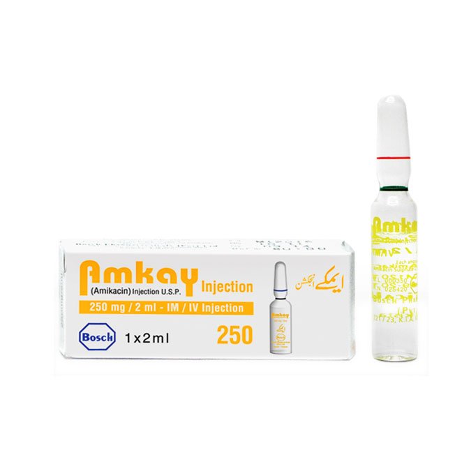 Amkay-250 Inj 250mg 1Ampx2ml