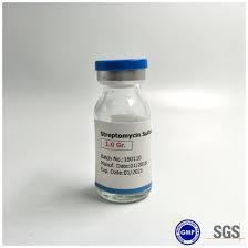 Streptomycin Sulphate Inj 1g 10Vial — image 2 of 2