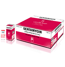 Gentamicin Sulphate Inj 80mg 100-s