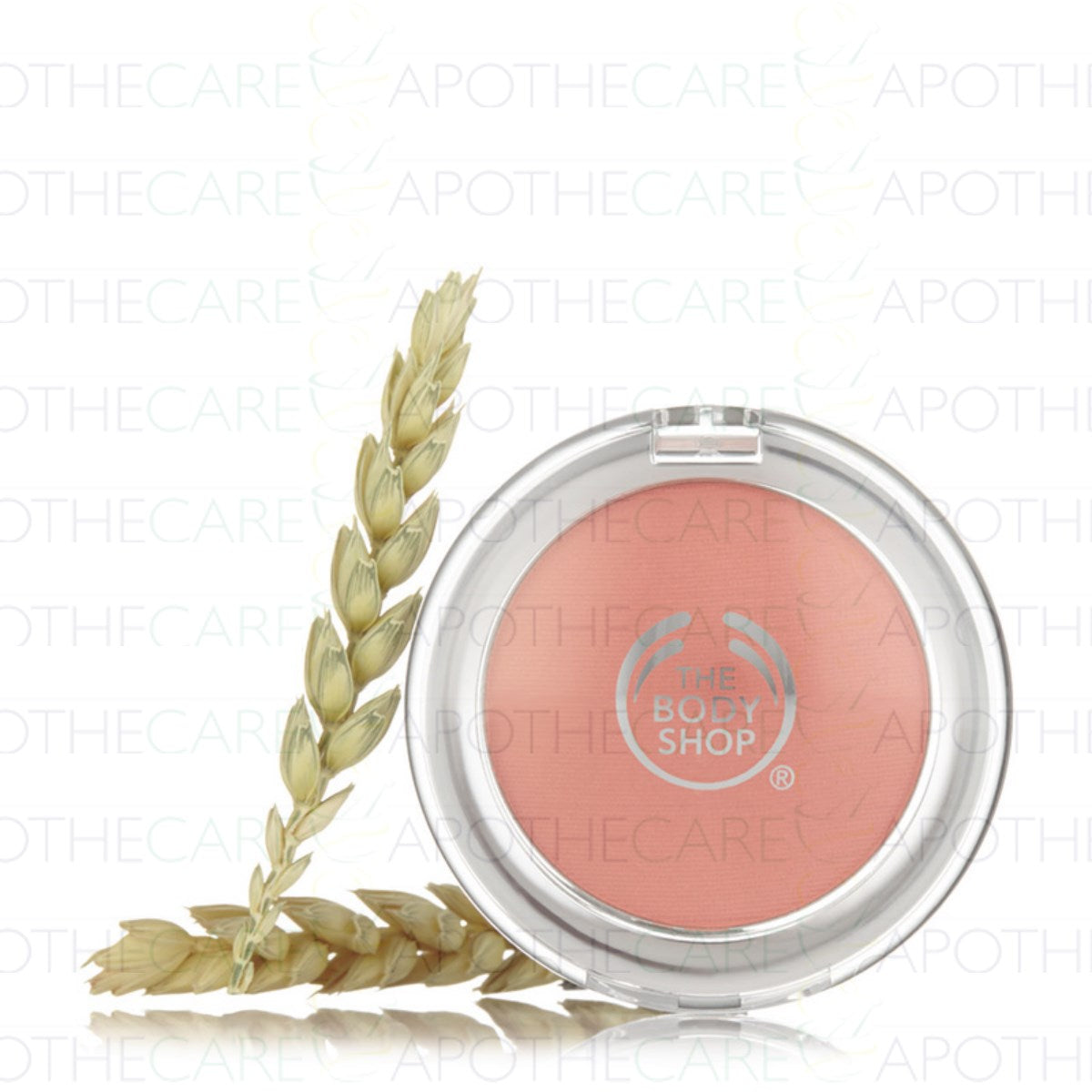 All In One Blush 01 4Gm
