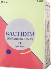 Bactidim 1Gm Injection 1'S Vial