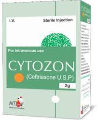 Cytozon-Iv 2Gm Injection 1'S Vial