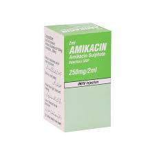 Amikacin Inj 250mg 1Vial